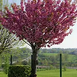 فندق Fasthotel Le Mans Nord Saint-saturnin - Un Fh Confort 2*