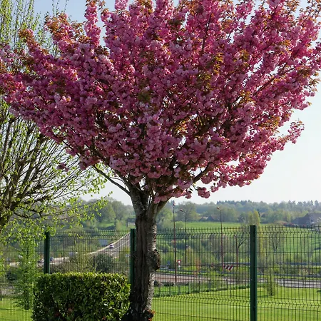 ホテル Fasthotel Le Mans Nord Saint-saturnin - Un Fh Confort 2*