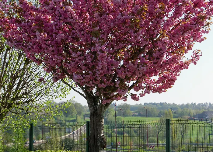 Hotel Fasthotel Le Mans Nord Saint-saturnin - Un Fh Confort 2*